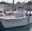 Robalo 25 feet - 2 x Yamaha 200HP - صورة 1