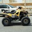 Buggy 2012 - صورة 3