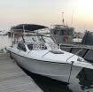 28ft Cabin cruiser for sale - صورة 3