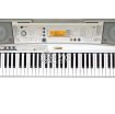YAMAHA PSR A300 keyboard photo 1
