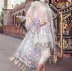 Pakistani Chiffon dress Party Wear photo 1