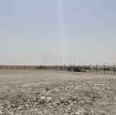 Approved open storage land (salwa road ) - صورة %index%