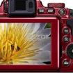 Nikon B700 red color photo 1