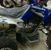 Can-Am DS 250  2014 - صورة 1