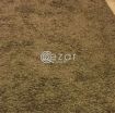 Large homecenter carpet photo 1