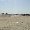 Approved open storage land (salwa road ) - صورة %index%