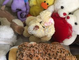Soft toy for sale in Qatar