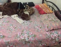Big Bed with mattress- Firm and Strong for sale in Qatar
