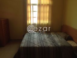 SHARED VILLA FOR PROFESSIONAL للإيجار في قطر