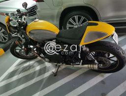 Truimph Street Cup in Qatar