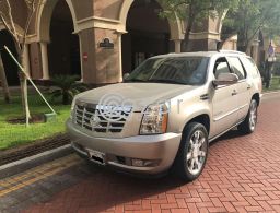 Cadillac Cadillac Escalade for sale in Qatar
