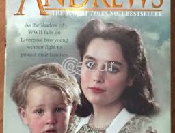 EVERY MOTHER's SON by Lyn Andrews in Qatar