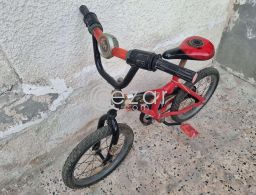 cycles 40 each in Qatar