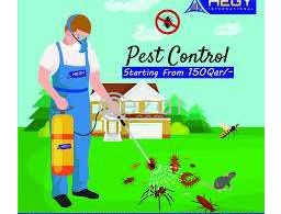 Cockroach Control Qatar 149QAR Onward in Qatar