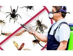 Best Pest Control Service in Qatar in Qatar