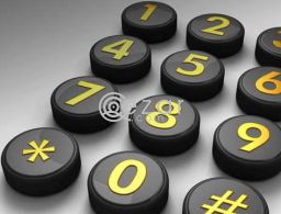 4 Digit Number - 66226117 in Qatar