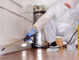 Cleaning With Fresho Qatar in Qatar