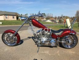 AMERICAN IRONHORSE SOFT TAIL في قطر