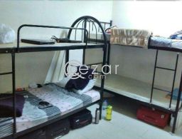 Bed space available for kerala muslim only for rent in Qatar