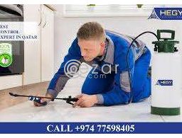 Pest control 149QAR onwards in Qatar