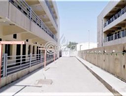 Fantastic 172 Labor Camp Rooms for Rent for rent in Qatar