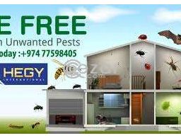 Pest control Qatar 149QAR onward in Qatar