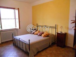 Executive bachelor's single or shared room for rent in Qatar