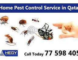 Pest control Doha Qatar 149QAR onwards in Qatar