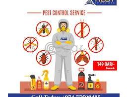Cockroach Control Qatar 149QAR Onward in Qatar