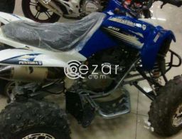 Can-Am DS 250  2014 في قطر