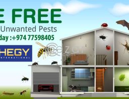 Cleaning Service In Doha,Qatar in Qatar