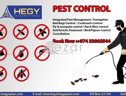 Pest Control Service Call Us now in Qatar