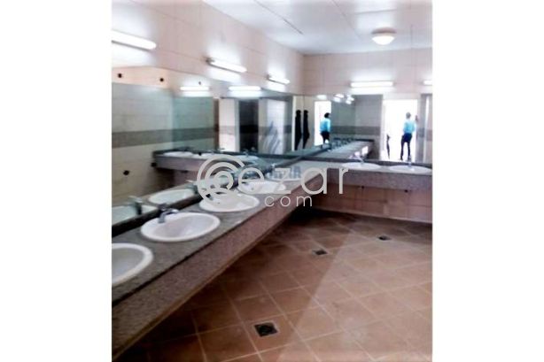 Fantastic 172 Labor Camp Rooms for Rent - صورة %index%