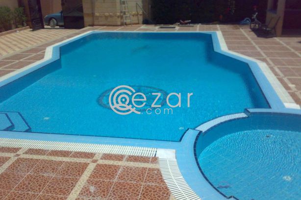 swimming pool cleaning and maintenance crevice photo 1