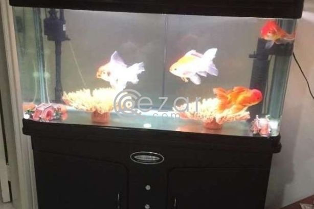 Fish Aquarium for Sale photo 1
