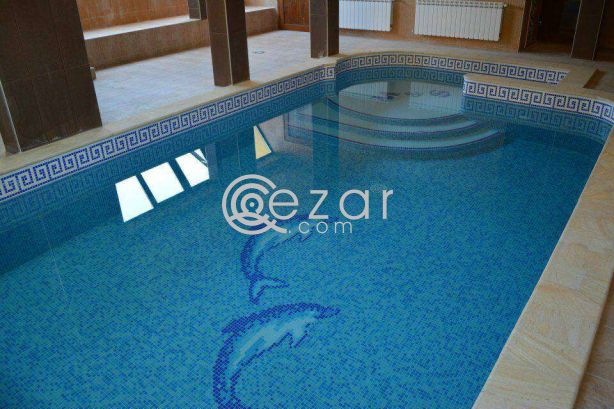 swimming pool cleaning and maintenance crevice photo 3