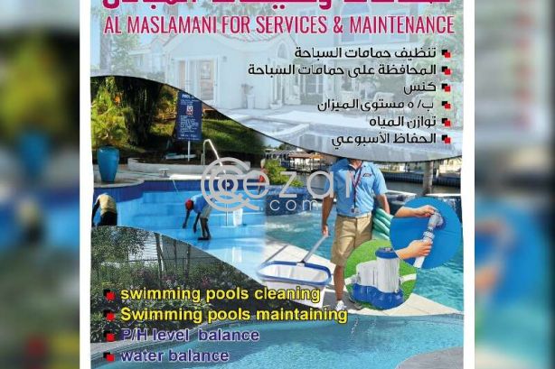 swimming pool cleaning and maintenance crevice photo 2