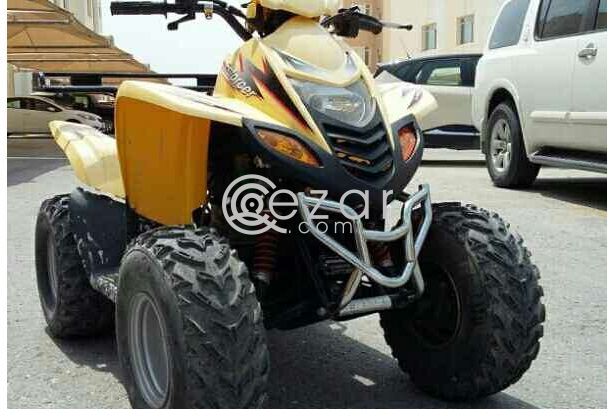 Buggy 2012 - صورة 1