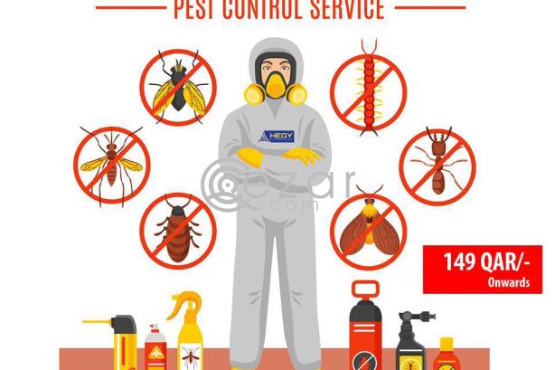 Pest Control Services From 149QAR/- photo 1