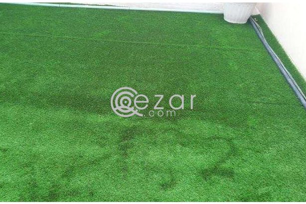 Artificial grass photo 1