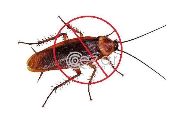 PEST CONTROL SERVICES photo 1