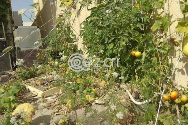 Villa portion photo %index%