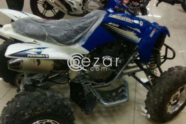 Can-Am DS 250  2014 - صورة 1