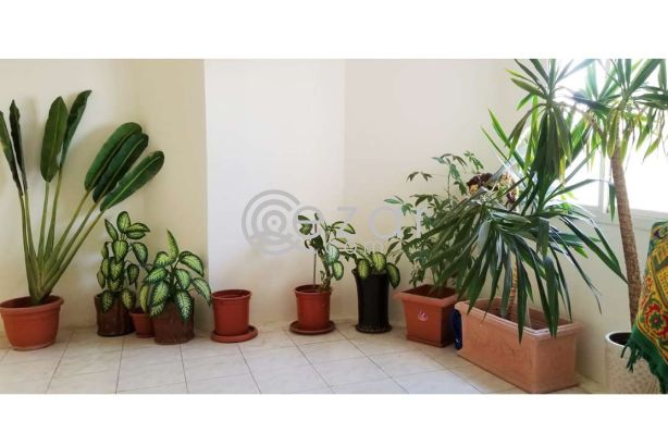 Huge Elegant Stand Alone Villa For Sale photo 6