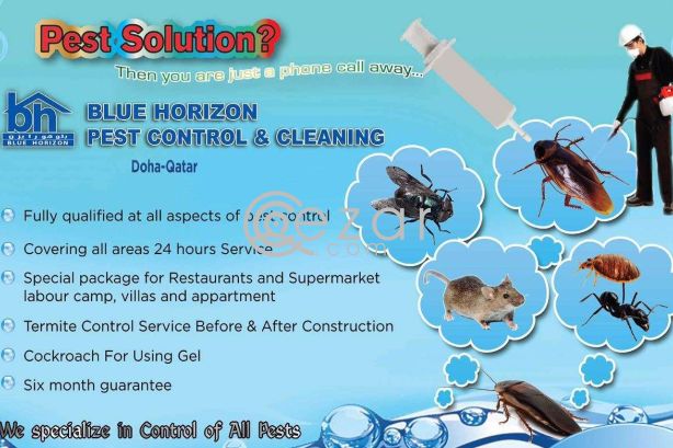 Pest Control and Cleaning Services photo 1