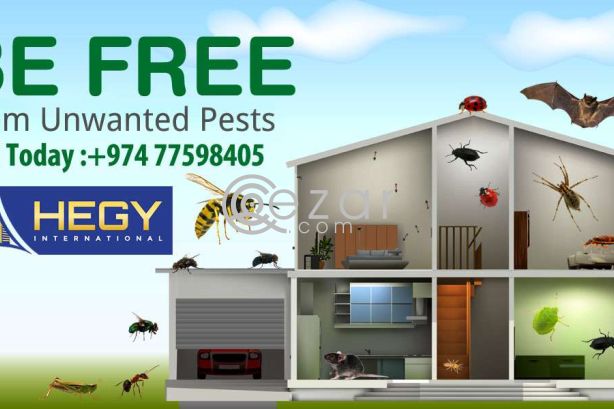 Cleaning Service In Doha,Qatar photo 1