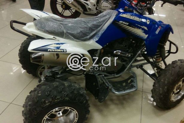 ATV Mikilon 2015 Quad photo 1