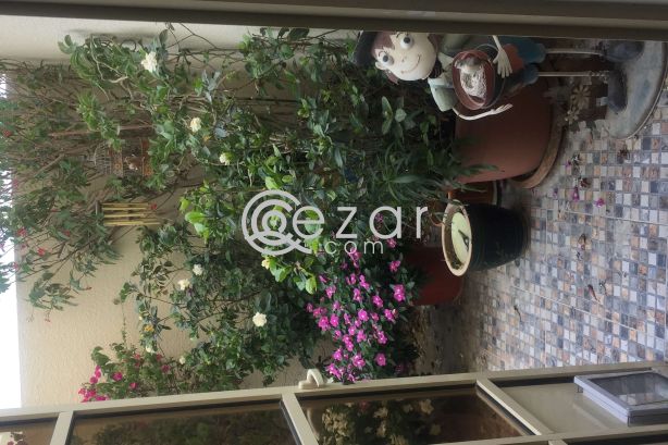 Lovely near beach wakra ground floor apartment photo %index%